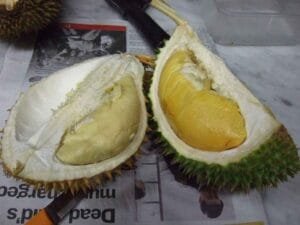 bahaya-durian-doktersehat bahaya-durian-doktersehat