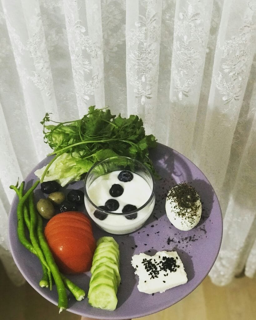 Diet Lacto-Vegetarian